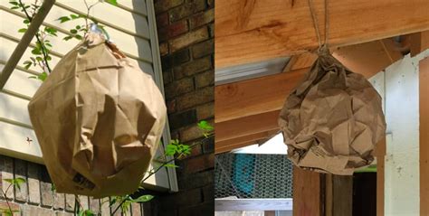 fake wasp nest paper bag|wasp deterrent paper bag.